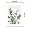 Amanti Art Eucalyptus Creative 16 by Pictufy Studio III Wood Framed Wall Art Print - 3 of 4