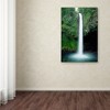 Trademark Fine Art -Robert Harding Picture Library 'Waterfall 17' Canvas Art - 3 of 3