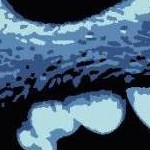 clear push pins bundle