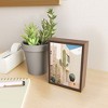 Bethany Young Photography Cabo Cactus VII Framed Mini Art - Society6 - 2 of 3
