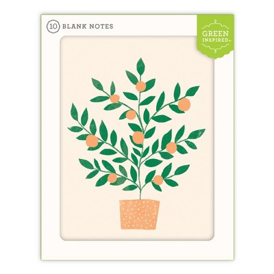 10ct Blank Note Cards Orange Tree