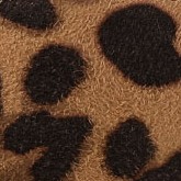 brown leopard