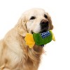 HERSHEY'S Jolly Rancher Dog Plush Toy - Green - 3 of 4