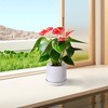 KWPZQEB Plant Pots Set of 2, Ceramic Planters with Drainage Holes, Nursery Planting Pot for Indoor Out Door Plants - 2 of 4