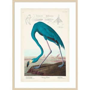 Amanti Art Custom Pl 431 American Flamingo I by John James Audubon Wood Framed Wall Art Print - 1 of 4