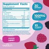 Wellah Perfect Pick-Me-Up (Mixed Berry) 30 Servings - Energy Boost Drink Mix - 2 of 4
