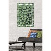 Trends International Cactus - Group Unframed Wall Poster Prints - 2 of 4
