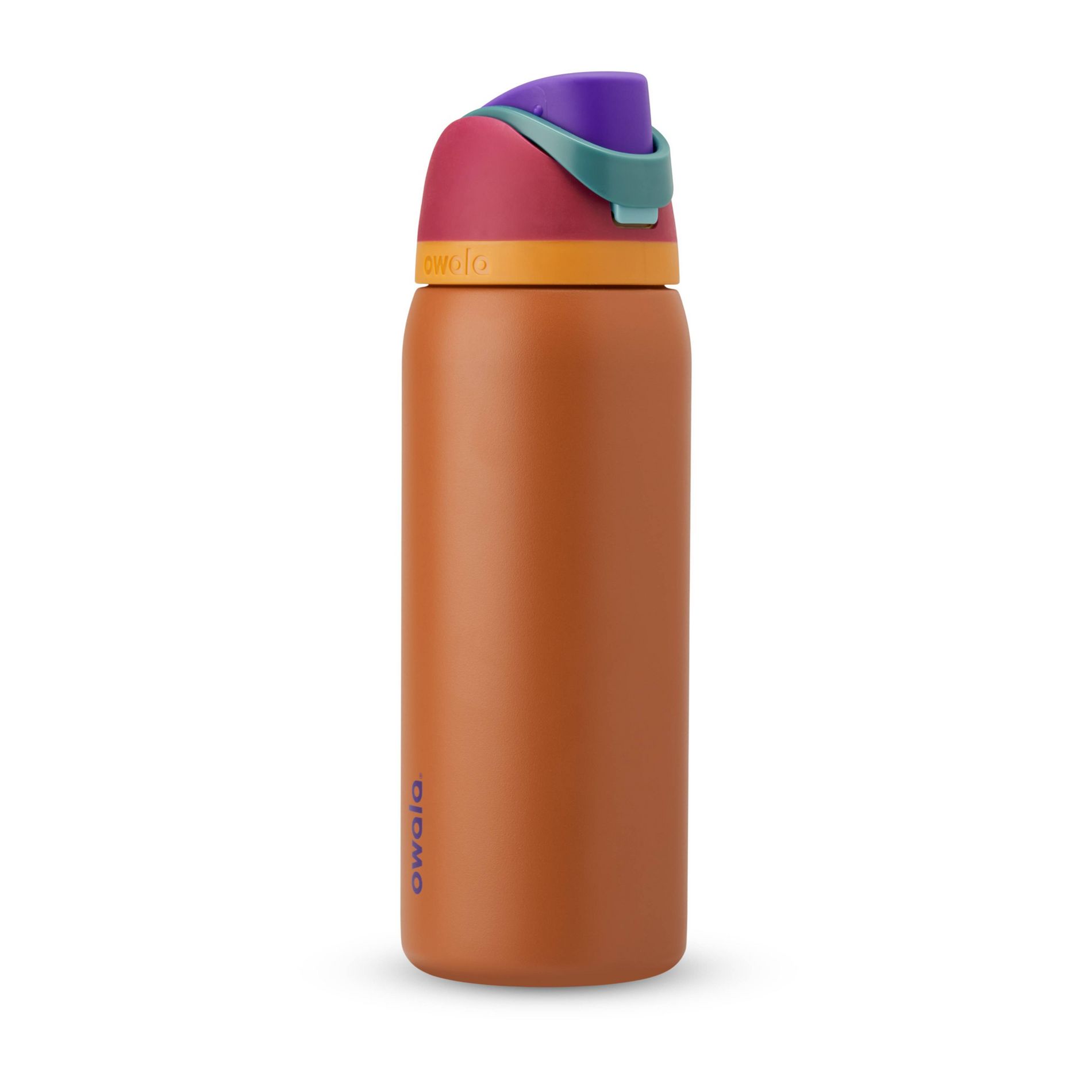 Owala 32oz FreeSip Stainless Steel Water Bottle Gemstone Chic - Plum/Brown: Portable Drinkware