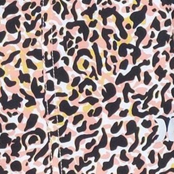 multicolored-wildparty