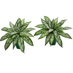 Nearly Natural Silver Queen Artificial Plant in Green Planter (Set of 2) - 1 of 2