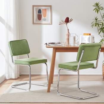 Neutypechic Velvet Upholstered Modern Dining Chair Set of 2