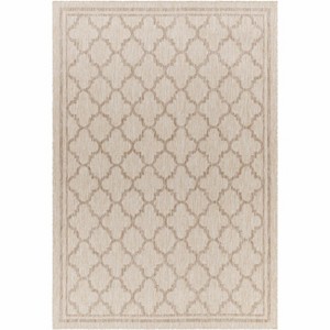 Hauteloom Noam Beige Indoor & Outdoor Rug - 1 of 4