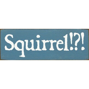 Slickblue Squirrel!? Text Sign, 3.5x10 Rustic Pine Wood Plaque, Hanging or Shelf Decor Sign, Multiple Colors - 1 of 3