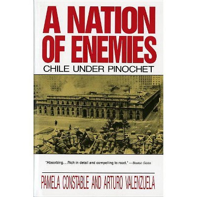 A Nation of Enemies - (Norton Paperback) by  Pamela Constable & Arturo Valenzuela (Paperback)