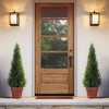 3-5FT Artificial Cedar Topiary Trees for Indoor and Outdoor UV Protection Fake Trees for Home Decor Set of 2 - 2 of 4