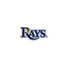 MLB Tampa Bay Rays 24oz Primary Logo Classic Tumbler - image 2 of 4