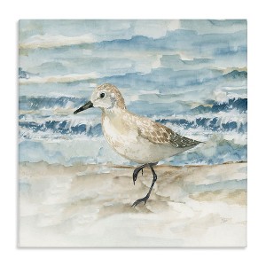 Stupell Industries Balancing Sandpiper on Shore Canvas Wall Art - 1 of 4