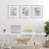 Stupell Industries Wild Blooms with Detailed Outlines 3pc Framed Print Under Glass Set - 2 of 4