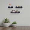 Dsvimoy Planter Stands and Holders Planter Stands Shelf with Invisible Brackets for Home Storage, Black, 22"*7"*3" - 2 of 4