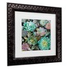 Trademark Fine Art - Danhui Nai Floral Succulents v2 Crop Matted Framed Art - 3 of 4