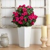 HomeStock  5 ft. Artificial Bougainvillea Tree in Planter for Indoor/Outdoor - 3 of 4