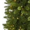 9ft. Slim Spruce Artificial Christmas Tree with 750 Warm White Multifunction LED Lights – Stunning Tall Holiday X-Mas Tree - 3 of 4