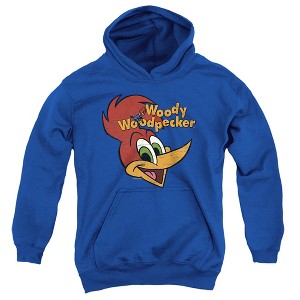 Boys’ Woody Woodpecker Retro Logo Hooded Sweatshirt - 1 of 4