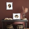 Americanflat 5x7 Picture Frame with Oval Mat Insert and Shatter-Resistant Glass - Signature Collection - 8x10 Picture Frame without Mat - Silver - 4 of 4