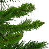 Northlight 2 FT Mixed Kateson Fir Medium Artificial Christmas Tree - Unlit - image 2 of 4