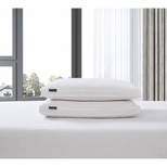 2pk Firm Cotton Blend Feather Down Fiber Bed Pillow - Beautyrest