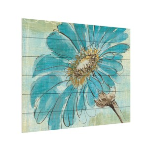 Trademark Fine Art -Chris Paschke 'Spa Daisies II' Canvas Art - 1 of 4