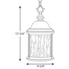Progress Lighting Ashmore 3-Light Outdoor Hanging Lantern in Antique Bronze with Water Seeded Glass Shade - 3 of 3