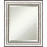 21" x 25" Salon Framed Wall Mirror Silver - Amanti Art