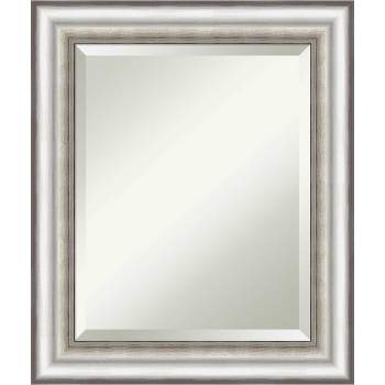 21" x 25" Salon Framed Wall Mirror Silver - Amanti Art