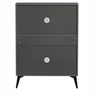 Vynxaria Gray Shoe Storage Cabinet with Shelving