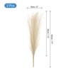 Unique Bargains Home Artificial Decoration Dried Plants 2 Pcs - 2 of 4