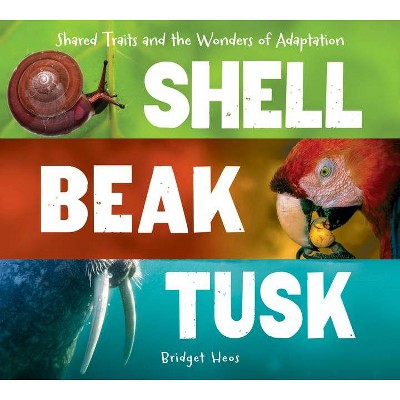 Shell, Beak, Tusk - by  Bridget Heos (Hardcover)