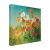 Trademark Fine Art -Danhui Nai 'Painted Daisies' Canvas Art - 4 of 4