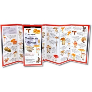 Common Mushrooms of the Midwest - (Hardcover) - 1 of 1