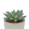 Unique Bargains Artificial Plants Pulp Planter Plastic Flesh 2.44"x2.44"x3.35" 1Pc - 4 of 4