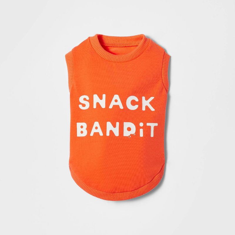 Graphic Snack Bandit Dog and Cat Jersey - Boots & Barkley™ Orange, 3 of 5