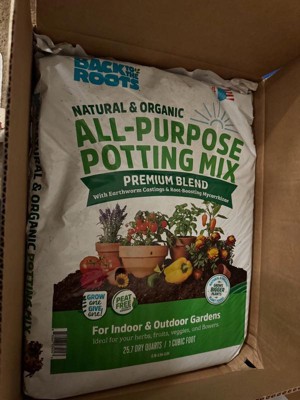 Guest review image 1 of 4, zoom in