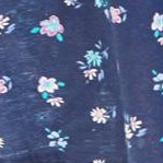 evening blue flowers