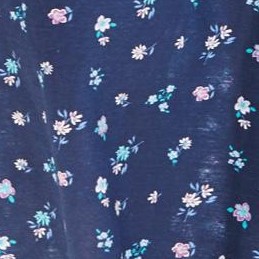 evening blue flowers