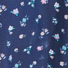 evening blue flowers