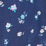 evening blue flowers