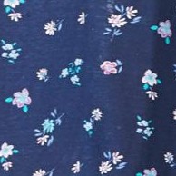 evening blue flowers