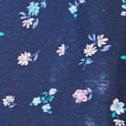 evening blue flowers