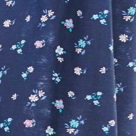 evening blue flowers