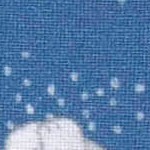 polar night